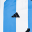 Argentina 2022 Home
