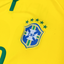 Brazil 2014 Home