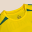 Brazil 2002 Home