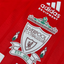 Liverpool 1994/95 Home