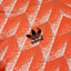 Holanda 1988 Home Kids