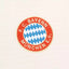 Bayern Munich Shirt 2024/2025 Retro Third Jersey